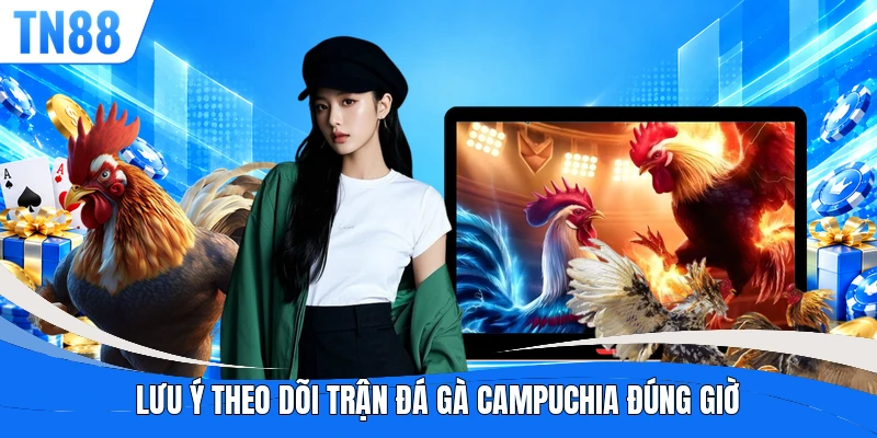 Lưu ý theo dõi trận đá gà Campuchia đúng giờ